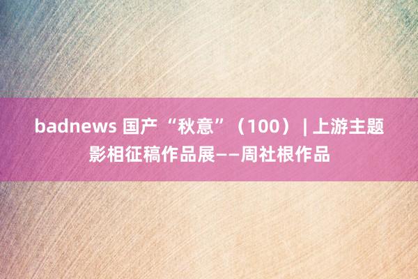 badnews 国产 “秋意”（100） | 上游主题影相征稿作品展——周社根作品