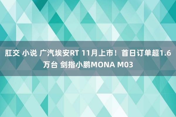 肛交 小说 广汽埃安RT 11月上市！首日订单超1.6万台 剑指小鹏MONA M03