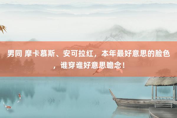 男同 摩卡慕斯、安可拉红，本年最好意思的脸色，谁穿谁好意思瞻念！