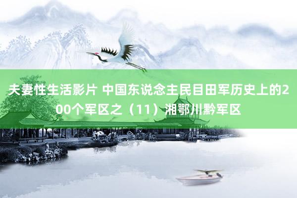 夫妻性生活影片 中国东说念主民目田军历史上的200个军区之（11）湘鄂川黔军区