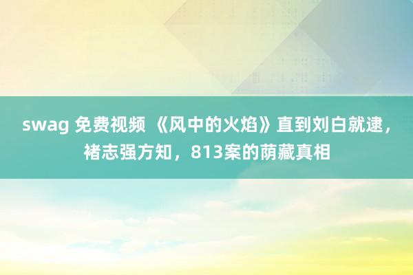 swag 免费视频 《风中的火焰》直到刘白就逮，褚志强方知，813案的荫藏真相
