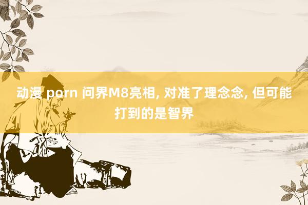 动漫 porn 问界M8亮相， 对准了理念念， 但可能打到的是智界