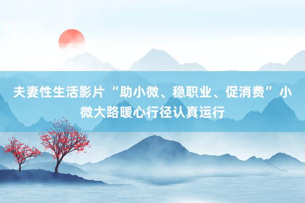 夫妻性生活影片 “助小微、稳职业、促消费” 小微大路暖心行径认真运行