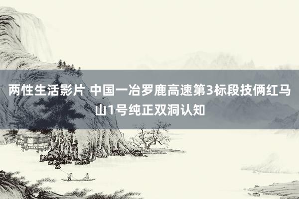 两性生活影片 中国一冶罗鹿高速第3标段技俩红马山1号纯正双洞认知