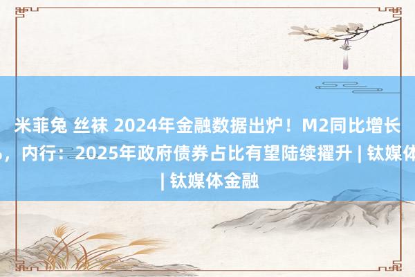 米菲兔 丝袜 2024年金融数据出炉！M2同比增长7.3%，内行：2025年政府债券占比有望陆续擢升 | 钛媒体金融