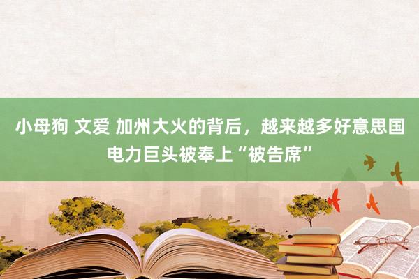小母狗 文爱 加州大火的背后，越来越多好意思国电力巨头被奉上“被告席”