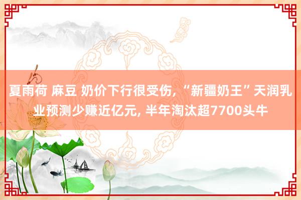 夏雨荷 麻豆 奶价下行很受伤， “新疆奶王”天润乳业预测少赚近亿元， 半年淘汰超7700头牛