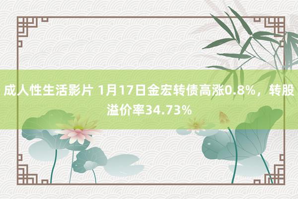 成人性生活影片 1月17日金宏转债高涨0.8%，转股溢价率34.73%