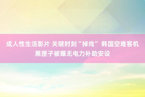 成人性生活影片 关键时刻“掉线” 韩国空难客机黑匣子被曝无电力补助安设