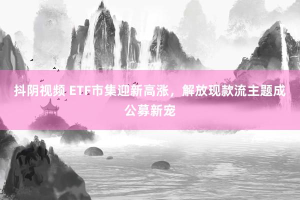 抖阴视频 ETF市集迎新高涨，解放现款流主题成公募新宠