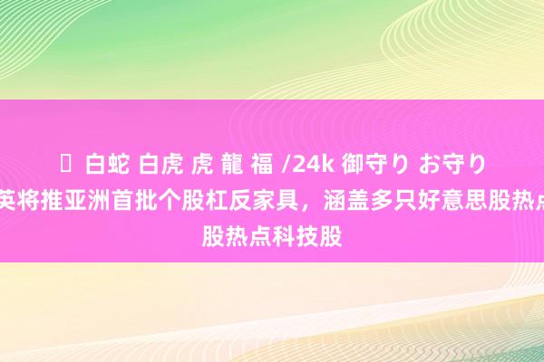 ✨白蛇 白虎 虎 龍 福 /24k 御守り お守り 南边东英将推亚洲首批个股杠反家具，涵盖多只好意思股热点科技股