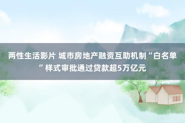 两性生活影片 城市房地产融资互助机制“白名单”样式审批通过贷款超5万亿元