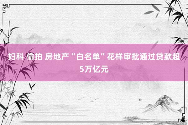 妇科 偷拍 房地产“白名单”花样审批通过贷款超5万亿元