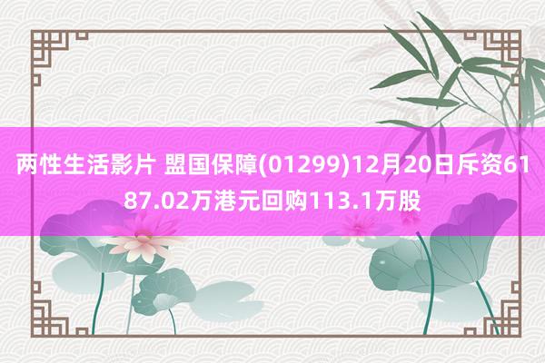 两性生活影片 盟国保障(01299)12月20日斥资6187.02万港元回购113.1万股