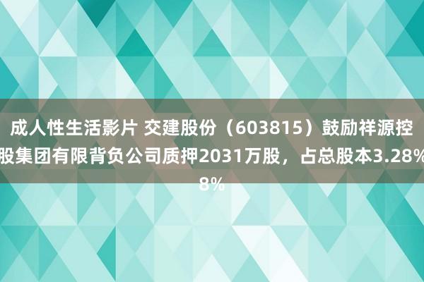 成人性生活影片 交建股份（603815）鼓励祥源控股集团有限背负公司质押2031万股，占总股本3.28%
