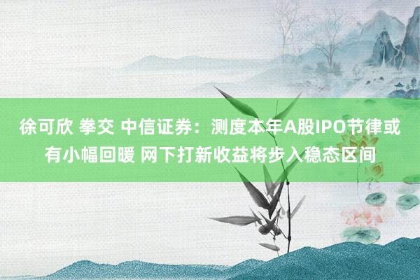 徐可欣 拳交 中信证券：测度本年A股IPO节律或有小幅回暖 网下打新收益将步入稳态区间