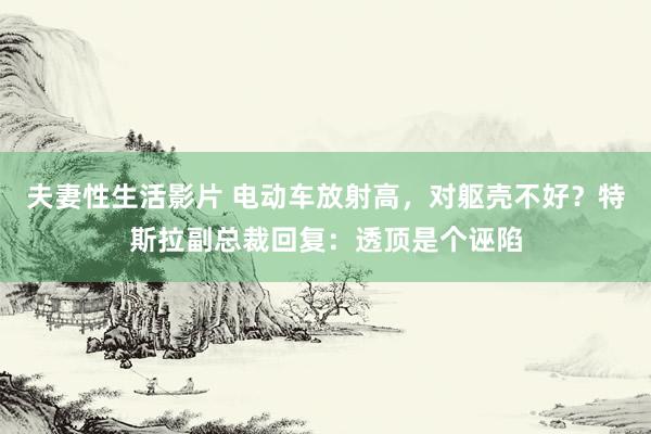 夫妻性生活影片 电动车放射高，对躯壳不好？特斯拉副总裁回复：透顶是个诬陷