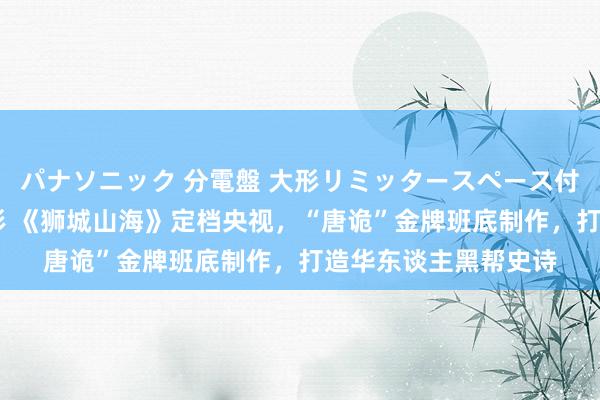 パナソニック 分電盤 大形リミッタースペース付 露出・半埋込両用形 《狮城山海》定档央视，“唐诡”金牌班底制作，打造华东谈主黑帮史诗